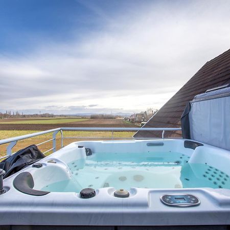 Esplanade Home Private Spa Jacuzzi Sauna Parking, Colmar Muntzenheim Exterior foto